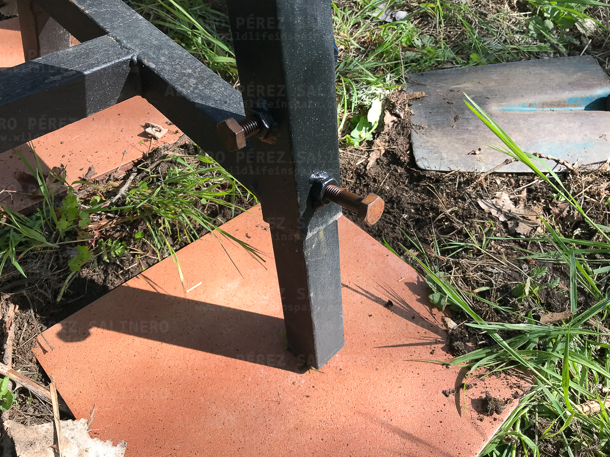 Construcción bebedero-comedero